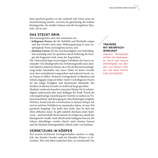 Faszien. Réglage.