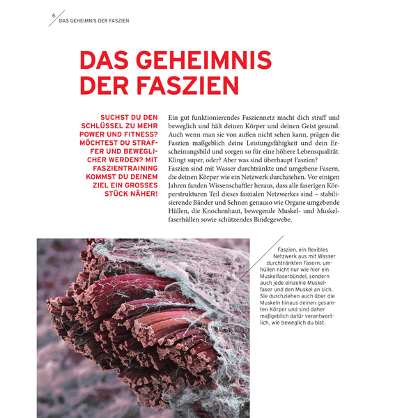 Faszien. Réglage.